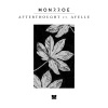 Ayelle - Afterthought