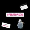 Dominik - Perreo Piscui