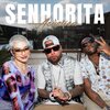 Pelé MilFlows、Clau - Senhorita Acústica (Explicit)