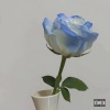 JIALOU - 蓝白色的玫瑰