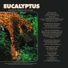 Flwr Chyld、Sebastian Mikael、Kevin Brown、Sebastian Bereket - Eucalyptus