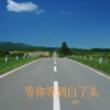 追梦 - 等你等到白了头