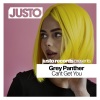 Grey Panther - Cant Get You (Original Mix)
