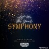 Simon Riemann、David Shane - Let Me Be Your Symphony (feat. David Shane)