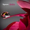 Eqonom - Marina (Original Mix)