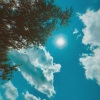 TVO、Zachary Tavano - summertime madness