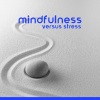 Stress Relief Helper《Meditation Awareness》[MP3/LRC]