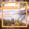 Floating Log - Autumn's First Breath