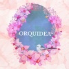 Yogini、DJ Electro《Orquidea (Instrumental Version)》[MP3/LRC]