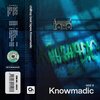 knowmadic、Shy Guy - Do Not Go