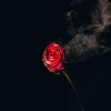 Sy Ari Da Kid、Bryson Tiller - Priorities (feat. Bryson Tiller)(Explicit)