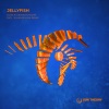 elias r、Grasso & Maxim - Jellyfish (Julian Millan Remix)
