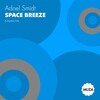 Adoel Smidt - Space Breeze (Original Mix)