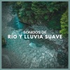 Lluvia del Bosque - Sonidos de Río y Lluvia Suave (P01)
