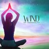 Relaxing Music Zone - State of Zen