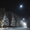 dashmefeeling - snow melody