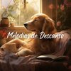 Perritos Fantásticos - Sueño Canino