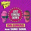 Suki Soul - Ain't Coming Down