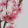 小vie - 云中客