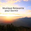 Relaxation Sommeil et Détente - Musique Relaxante pour Dormir (Calme Piano)