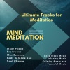 Mind Body Soul Reiki Therapeutic Sounds、Restorative Meditation、Yoga Productions《Stillpoint At Alaska (Original Mix)》[MP3/LRC]