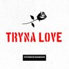 Futurekid2damoon - Tryna Love