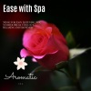 Chill Out and Mood Uplifting Symphonies、Anxiety、Depression Relief Therapeutic Sounds - Healing Rituals (Original Mix)