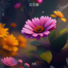 百星 - 落花如梦梦如花
