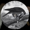 Karma Kid - Bird Of Prey
