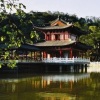 官正学、画桥烟柳 - 吊脚楼迎来大喜讯