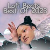The Lofi Girl、Lofi Fruits Usa - Reflections