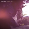 Tony Garnier、M. Ward、Steve Gunn、Oisin Leech - October Sun
