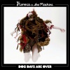 Florence + The Machine - Dog Days Are Over