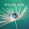 Healing Touch Universe - Chilled Spa Prelude