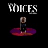 Gxblin Bxi、Niku《Voices (Explicit)》[MP3/LRC]