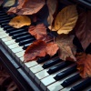 Relaxing Music Oasis、Soft Piano、Study Radiance《Nights Seeking Information》[MP3/LRC]