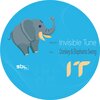 Invisible Tune - Donkey & Elephants Swing