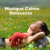 Musique Calme et Relaxation - La paix intérieure