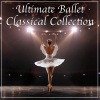 Belgrade Philharmonic Orchestra - Swan Lake, Ballet Suite, Op. 20a I. Scene (