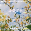 曲广曌（HyGeeZ）、曹盛衍 - 春暖花开
