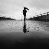 百星 - 雨的低语