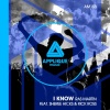 Ras Martin、Sheree Hicks、Rick Ross - I Know (Radio Edit)