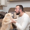 Mozartian Pianist、Calming Music For Pets、Sleep Miracle - Paws Tap Along Keys