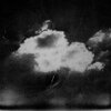sunflwr、Jacopo Sb - You, i'm thinking of