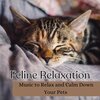 Pet Sandman、RelaxMyCat、Cat Music Dreams - Calming Music for Cats (feat. RelaxMyCat & Cat Music Dreams)