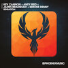 Kev Cannon、Andy Reid、James Bradshaw、simone denny - Sensation (Extended Mix)