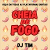 Dj Tiim、Mc Th、Mc Fabinho da Osk、Mc Joyce、DJ Tim - Cheia de Fogo (feat. Mc Th, MC Fabinho da Osk, Mc Joyce & Dj Tim|Explicit)