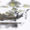 三月与歌、秦也、白粥、药迟luriki、暮雪Q大不溜Q、苍梧、余不通、沐安然、山月LuCine、徵徵徵Apr - 天下开眉--