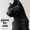 Piano for cats、Music For Cats - Music for Lonely Cats