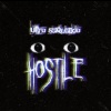DJ FLG、DJ FBK - ULTRA SEQUENCIA HOSTILE (feat. DJ FBK|SLOWED)